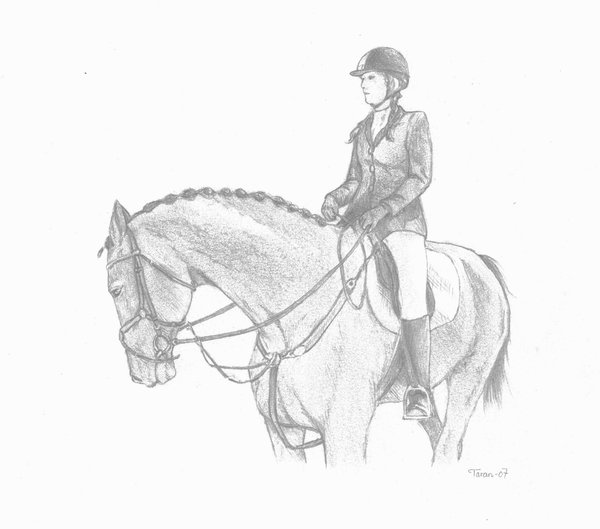 600x529 Horse With Rider Drawing - Horse And Rider Drawing