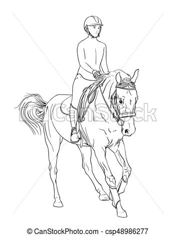 351x470 horse rider line art vector equestrian sports theme illustration - Horse And Rider Drawing