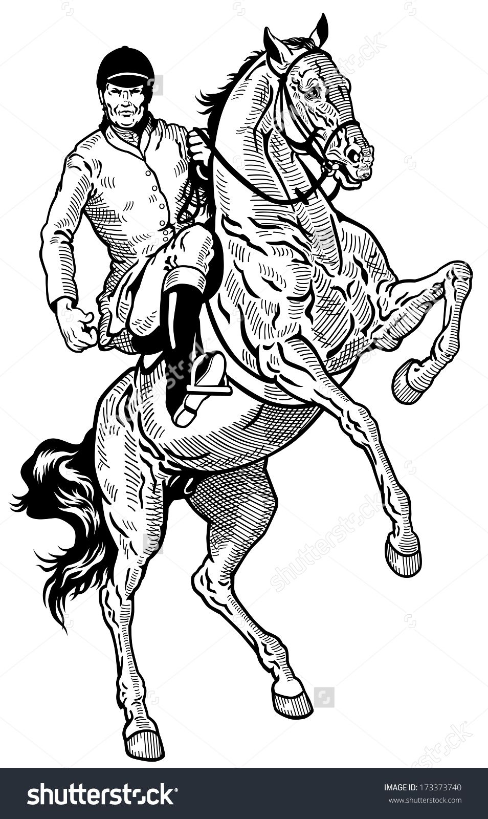 954x1600 horse rider,equestrian sport, black and white illustration - Horse And Rider Drawing