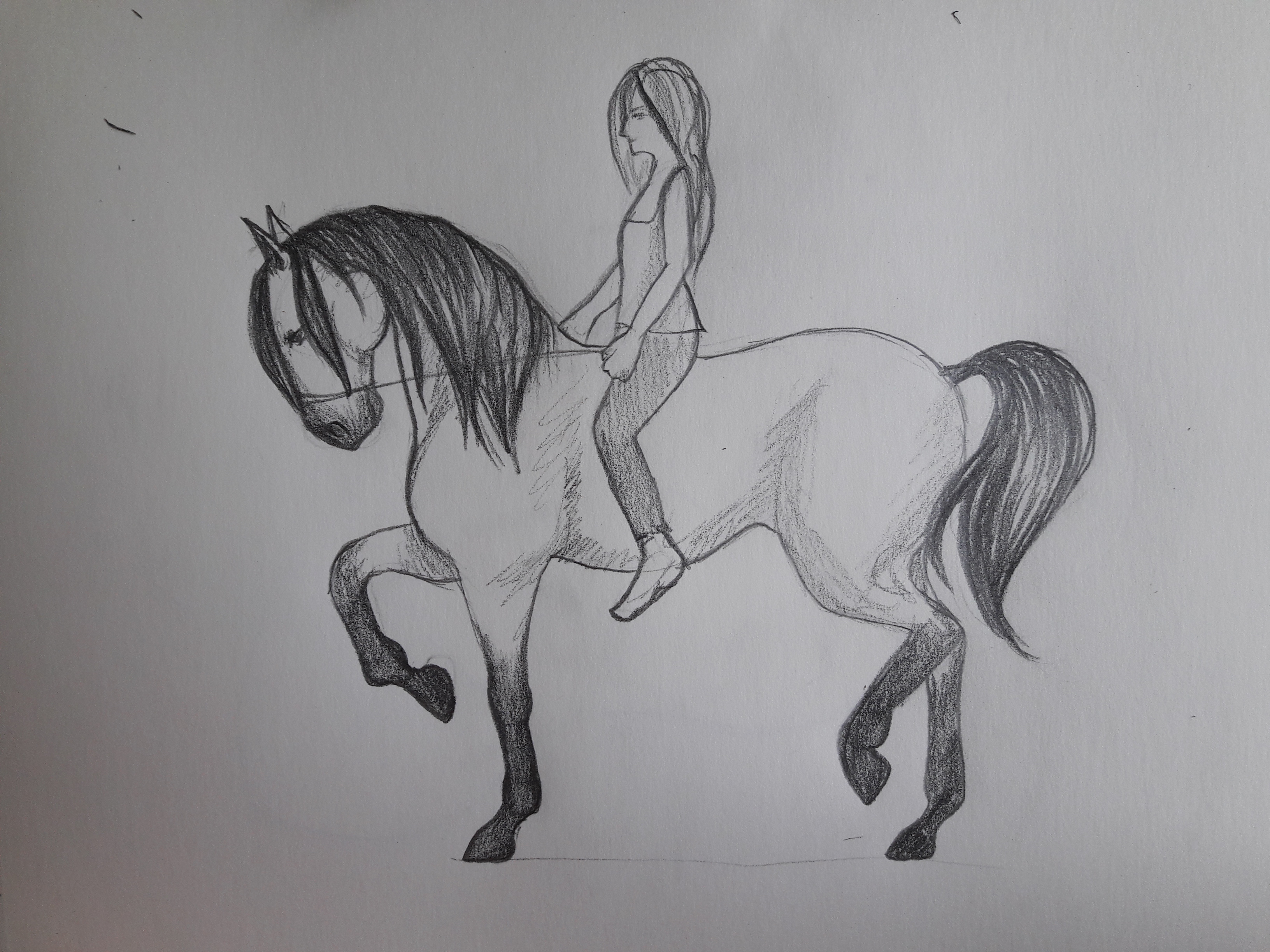 3264x2448 Draw A Horse With Rider - Horse And Rider Drawing