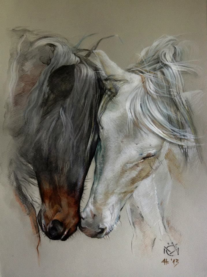 717x960 Horse Painting, Drawing Horse Art Indio Xlii Entendido Xxxiv - Horse Art Drawings