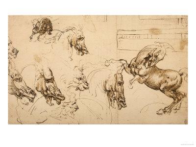 400x300 rearing horse and study of horse, lion and human heads, drawing - Horse Art Drawings