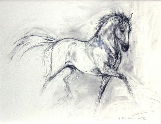 550x425 stunning abstract horse i like this drawing as it shows the posh - Horse Art Drawings