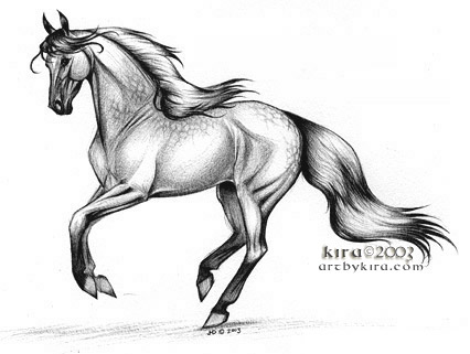 426x321 Art - Horse Art Drawings