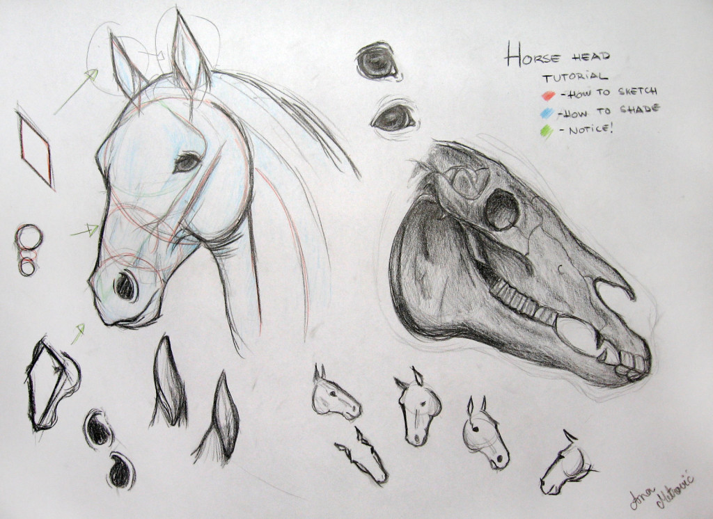 horse and human drawing