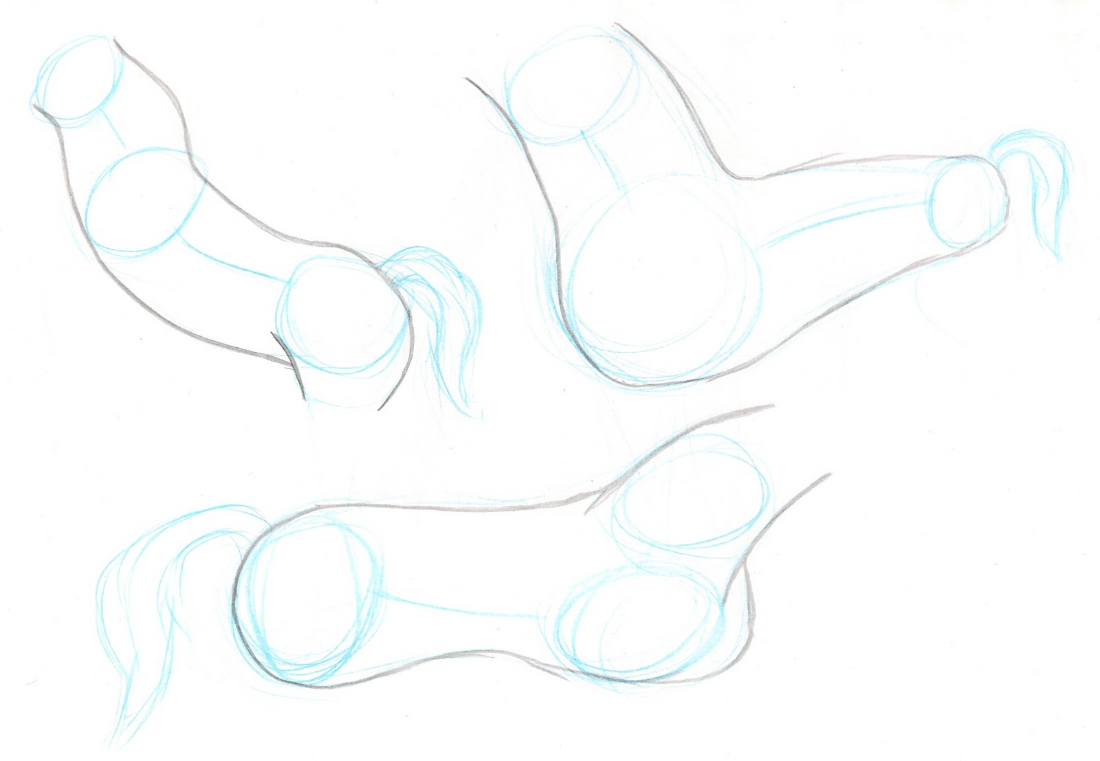 1600x1107 Ethan Clements Horse Body Drawings - Horse Body Drawing