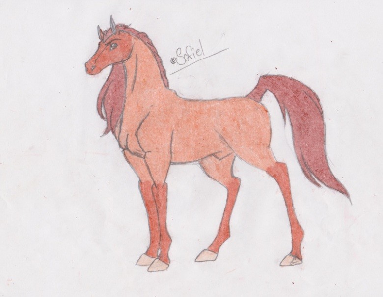 780x604 Fanart Sofiel - Horse Body Drawing