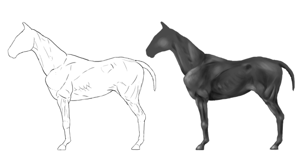 600x320 How To Draw Animals Horses, Their Anatomy And Poses - Horse Body Drawing