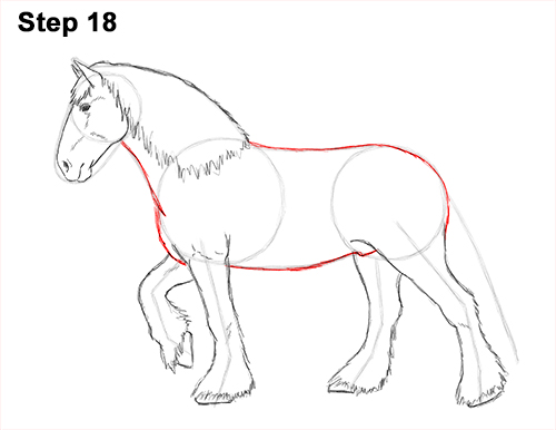 500x386 How To Draw A Horse - Horse Body Drawing