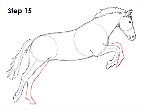 500x386 How To Draw A Horse Jumping - Horse Body Drawing