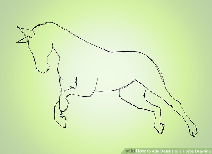 728x529 Ways To Add Details To A Horse Drawing - Horse Body Drawing