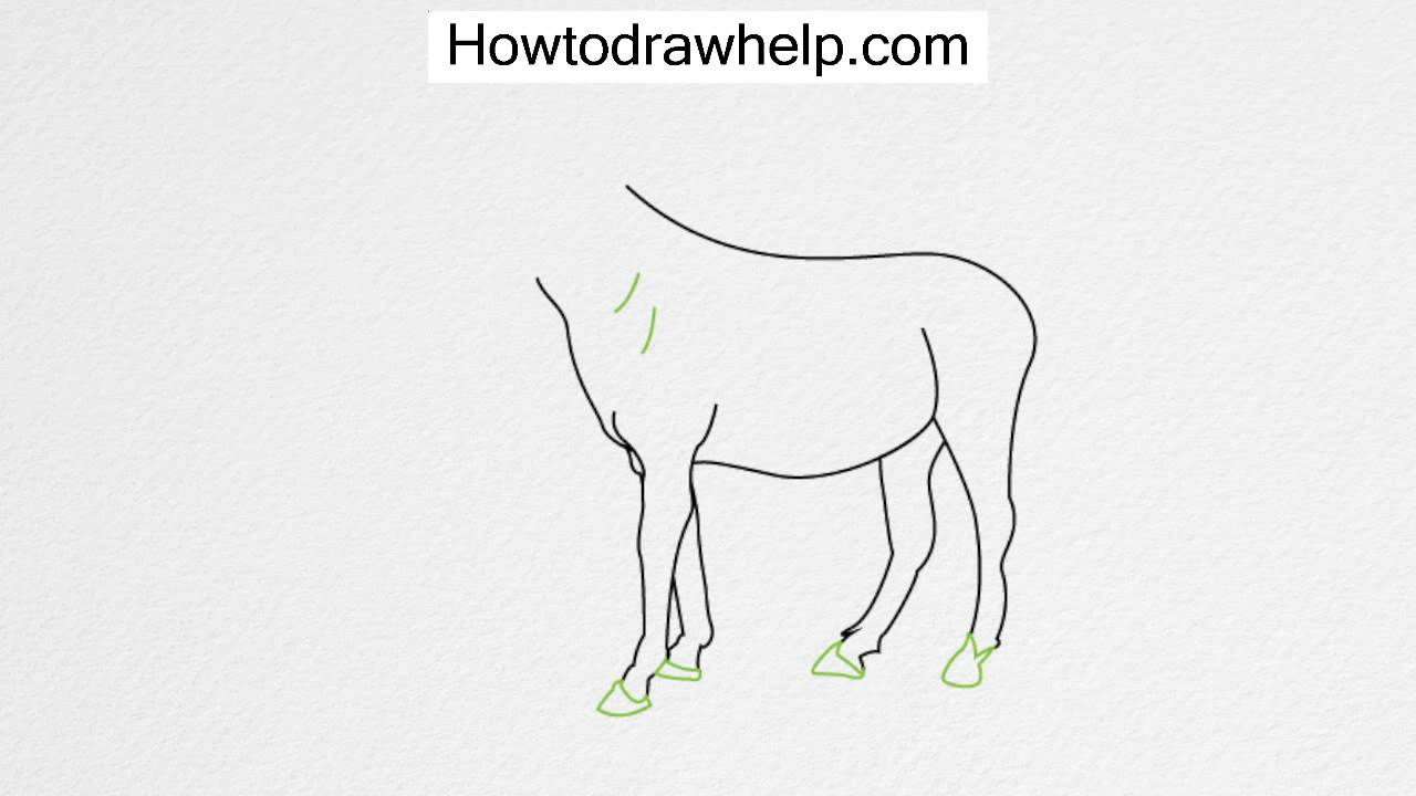 1280x720 How To Draw A Horse Step - Horse Body Drawing