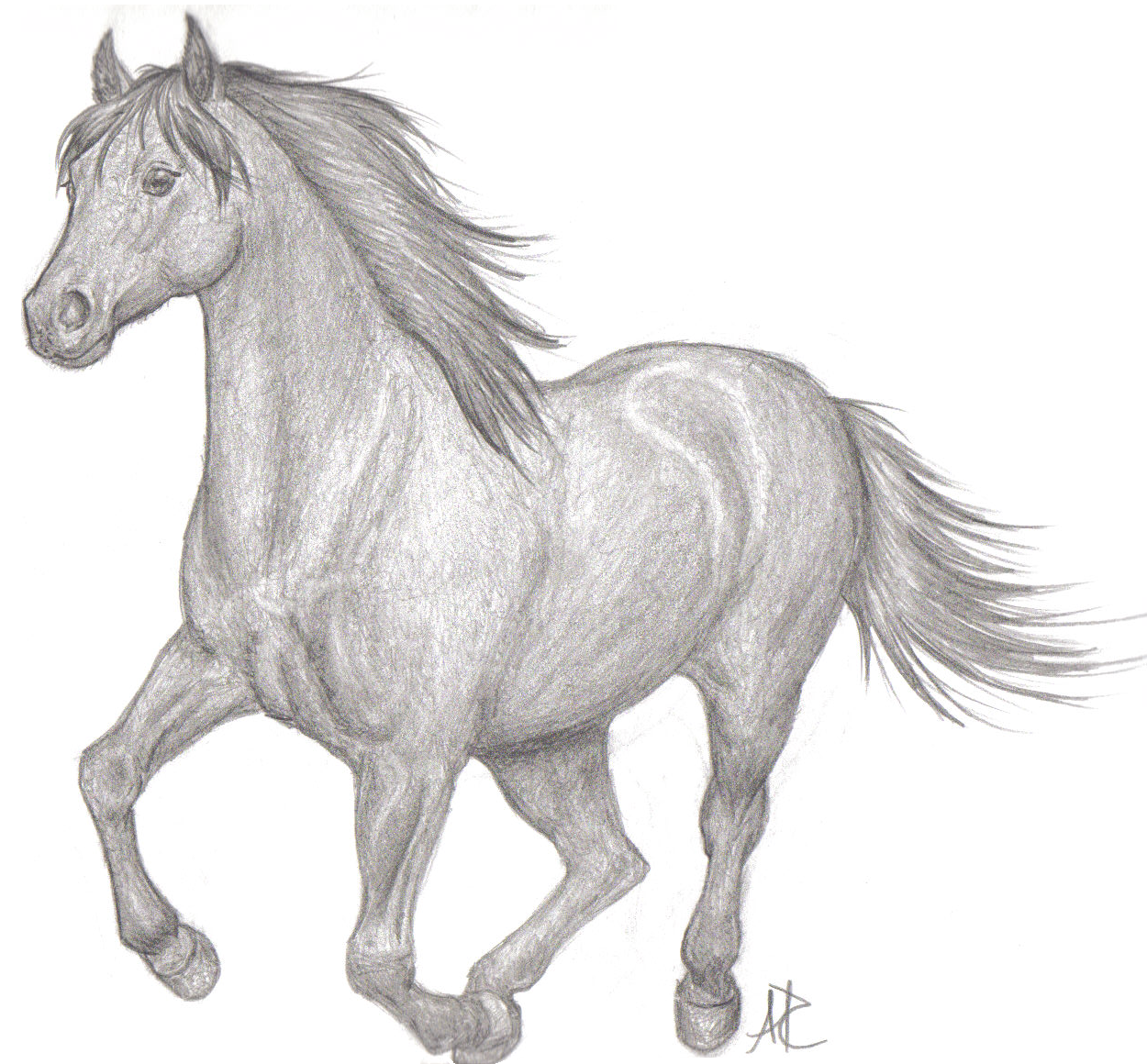 1250x1160 Running Horse - Horse Body Drawing
