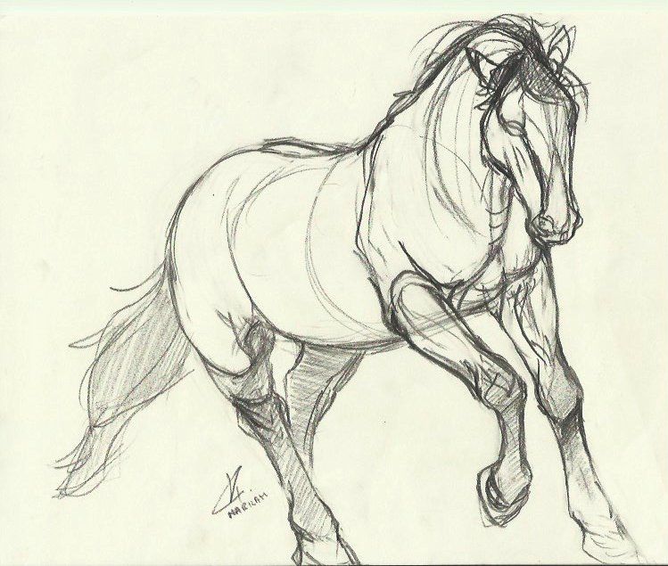 749x635 Artstation - Horse Body Drawing
