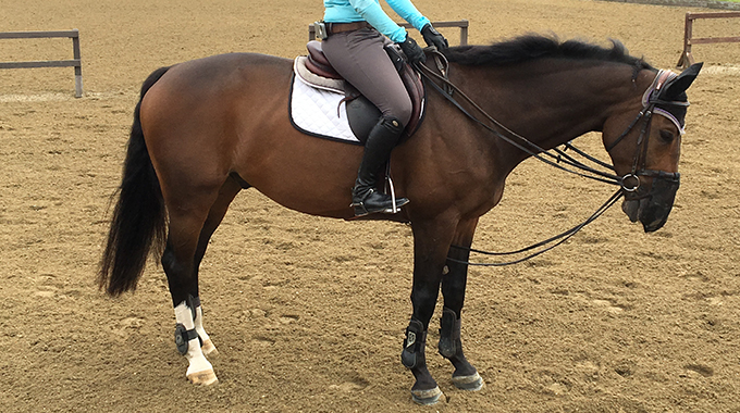 680x380 Draw Reins To Use Or Not To Use Blog - Horse Bridle Drawing