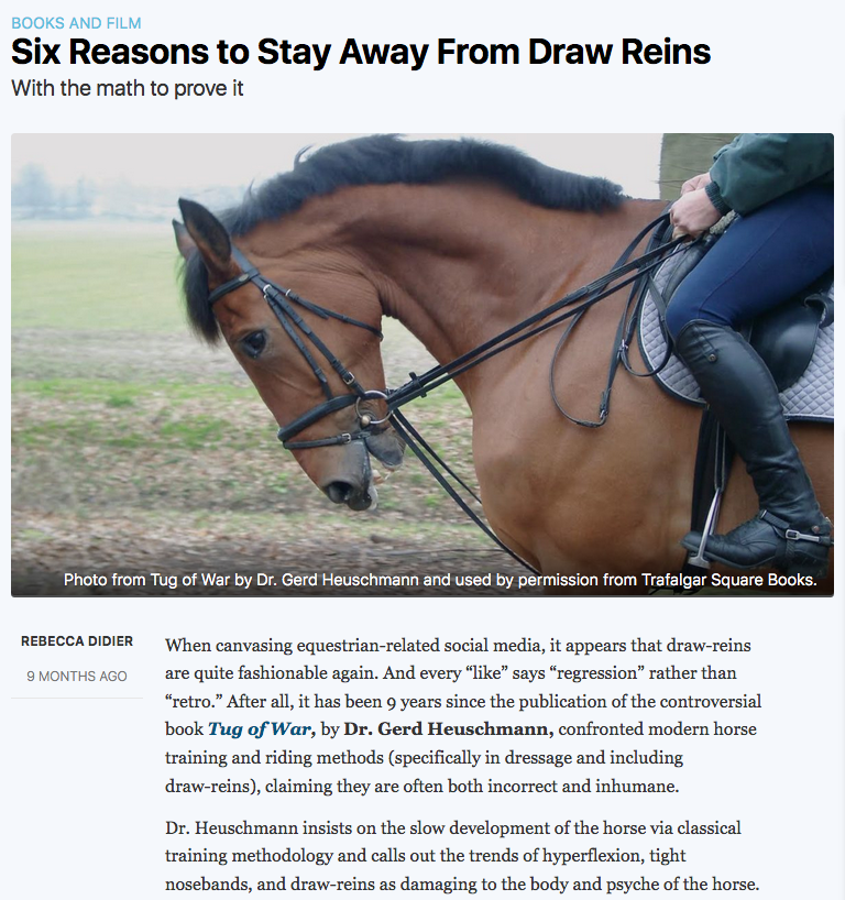 768x818 Are Draw Reins Making A Come Back Equine Ink - Horse Bridle Drawing