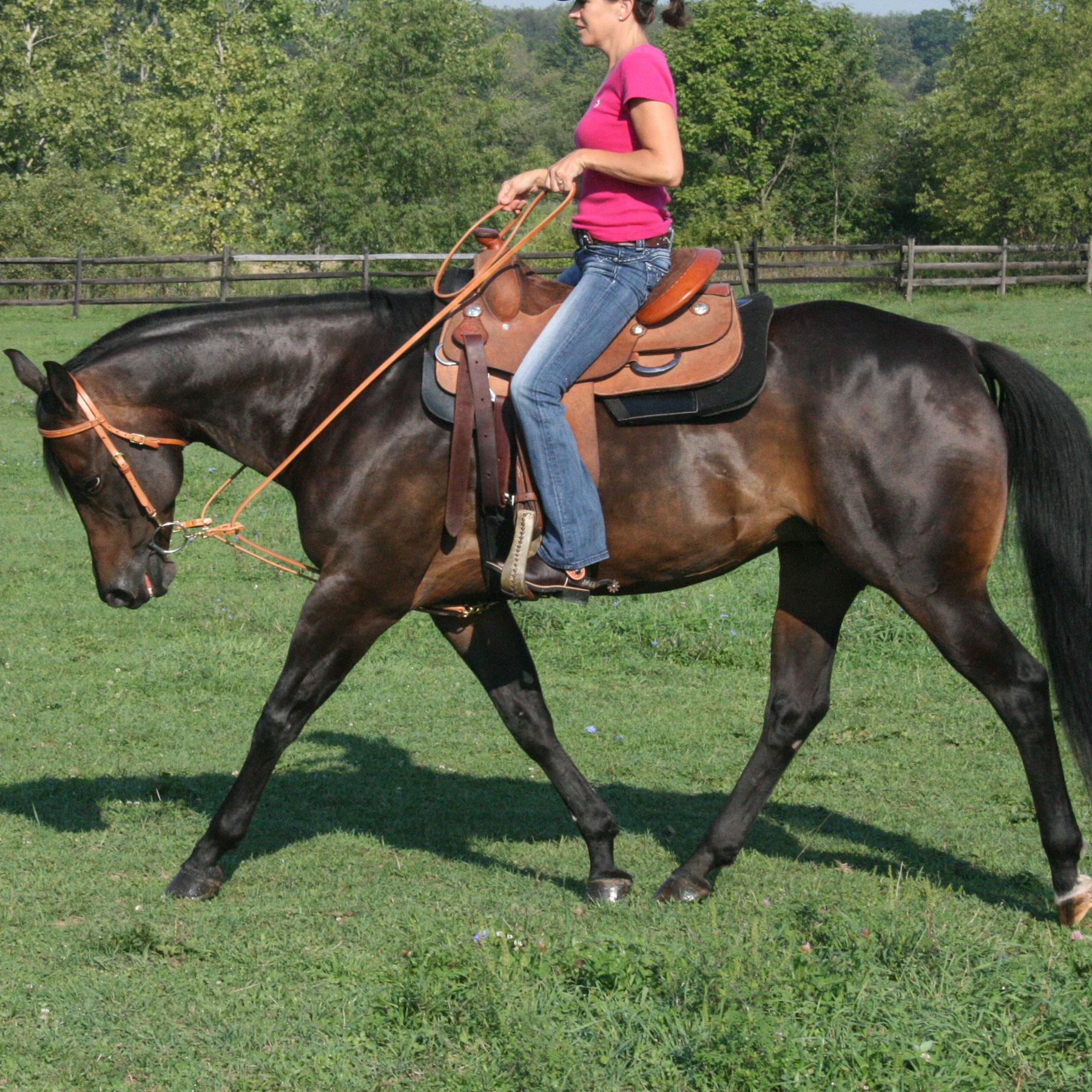 1800x1800 Billy Harness Leather Pulley Draw Reins In Western - Horse Bridle Drawing