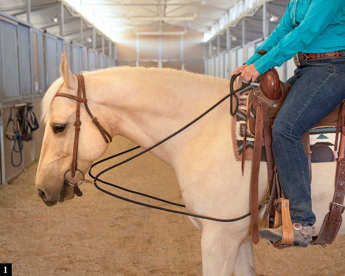 Horse Bridle Drawing at Explore collection of