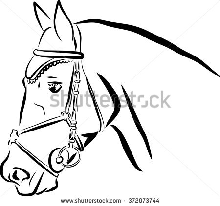 450x423 Collection Of Free Face Drawing Horse Download On Ui Ex - Horse Bridle Drawing