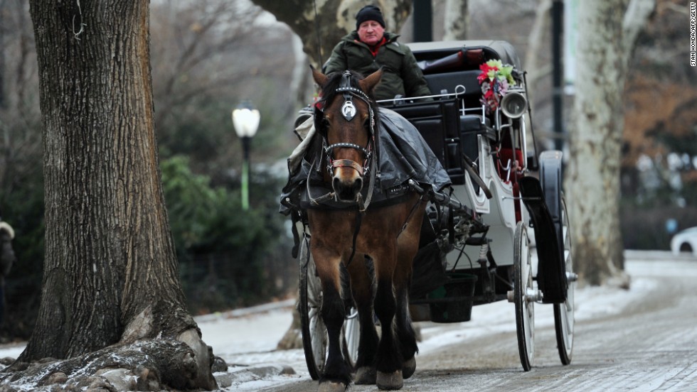 980x552 Opinion Help The Horses Ban Carriage Rides - Horse Carriage Drawing
