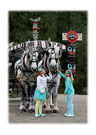 195x274 Stanley Park Horse Drawn Tours, Vancouver, Bc - Horse Carriage Drawing
