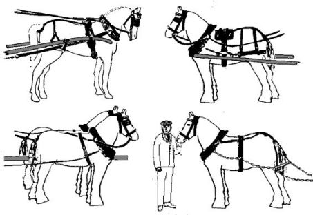 453x312 Horse Cart Drawing - Horse Cart Drawing