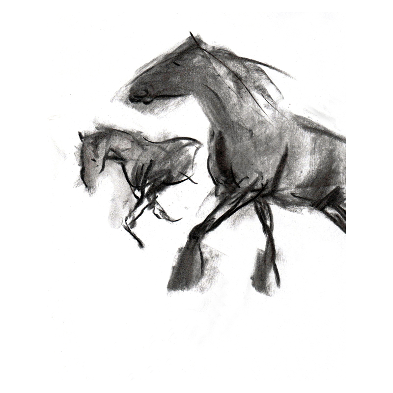 800x800 Free - Horse Charcoal Drawing