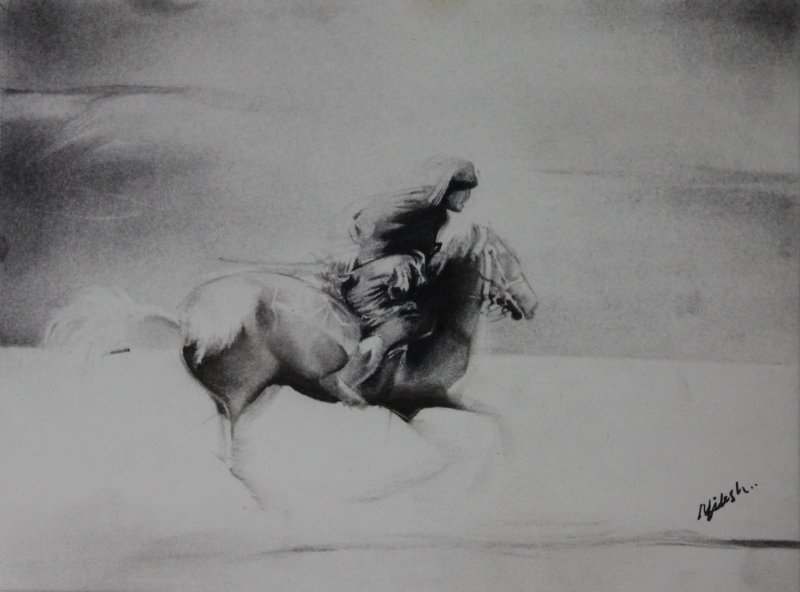 800x592 Horse Riding - Horse Charcoal Drawing