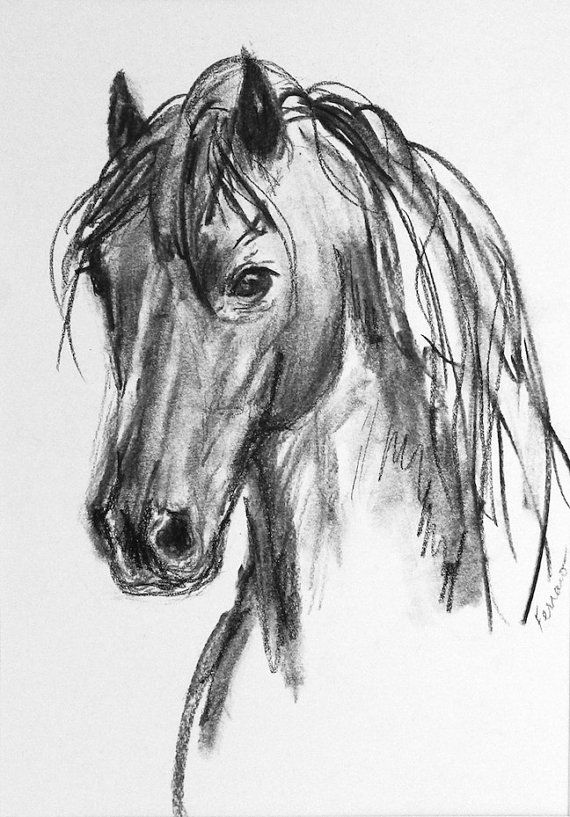 570x817 Horse Original Charcoal Drawing'introspective' - Horse Charcoal Drawing