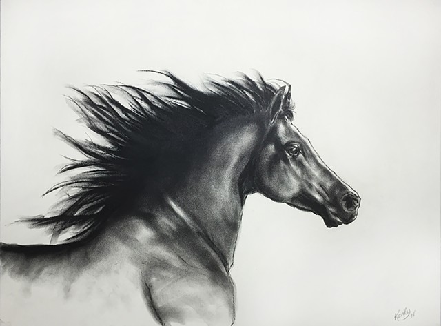 640x473 Kandy Stern - Horse Charcoal Drawing
