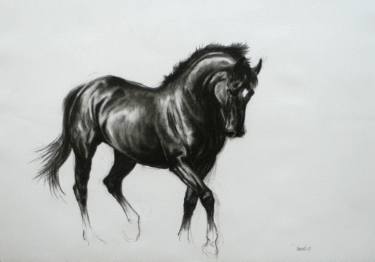 375x262 Original Impressionism Horse Charcoal Drawings For Sale Saatchi Art - Horse Charcoal Drawing
