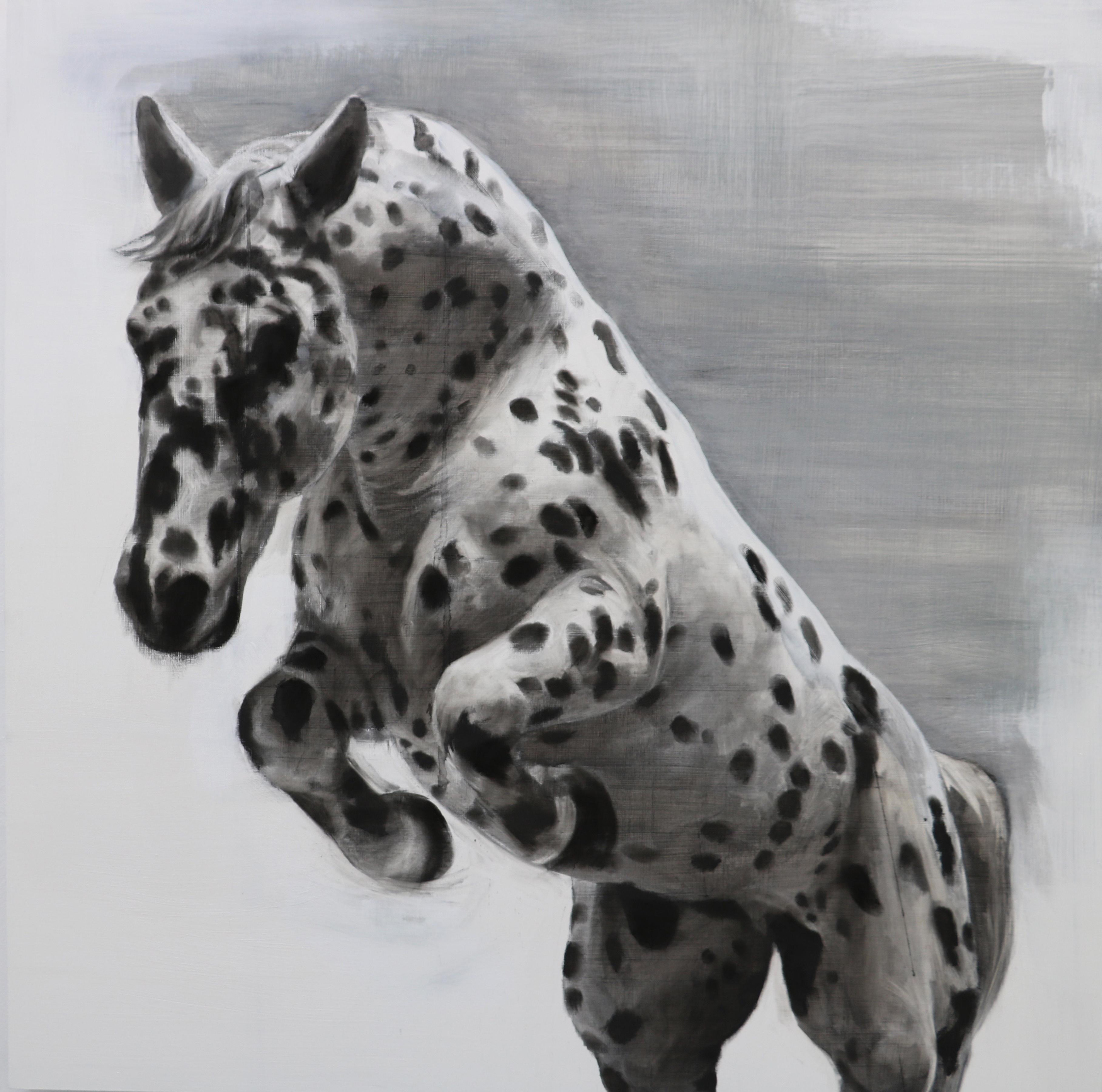 3633x3600 Patsy Mcarthur - Horse Charcoal Drawing