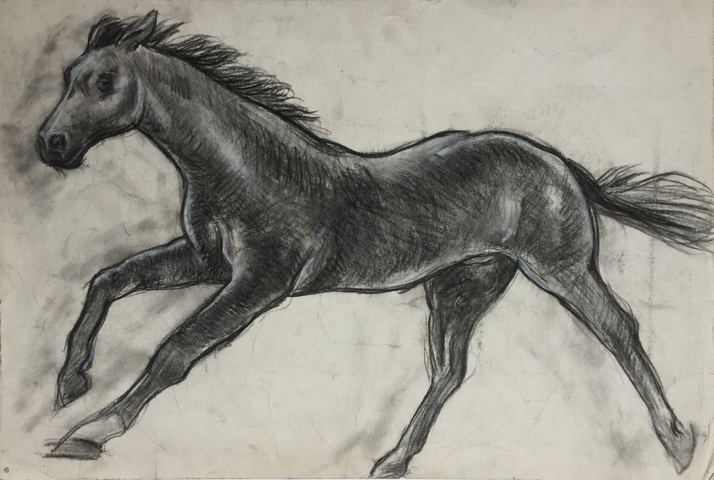 1024x688 Black Beauty Horse - Horse Charcoal Drawing