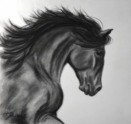 459x432 charcoal drawing of animals images charcoal drawings - Horse Charcoal Drawing