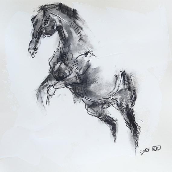 570x570 Charcoal Drawing Of Horse On Paper Equine Art Animal Modern Etsy - Horse Charcoal Drawing