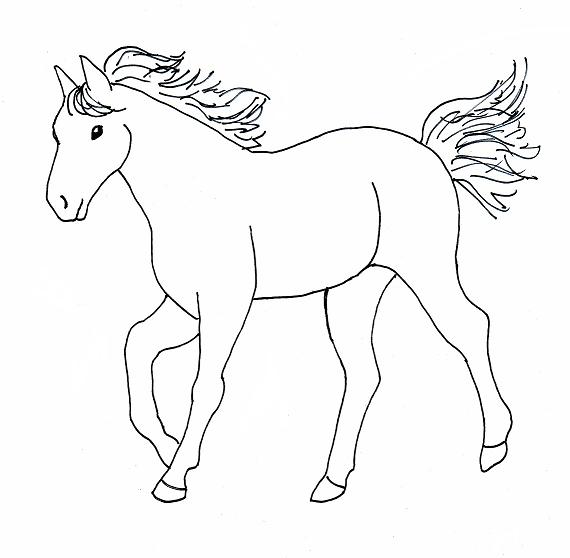 570x558 Horse Drawing Step - Horse Drawing