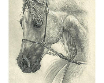 340x270 Horse Drawing Etsy - Horse Drawing