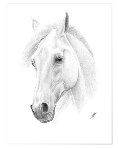 400x500 Horse Drawing Posters And Prints - Horse Drawing