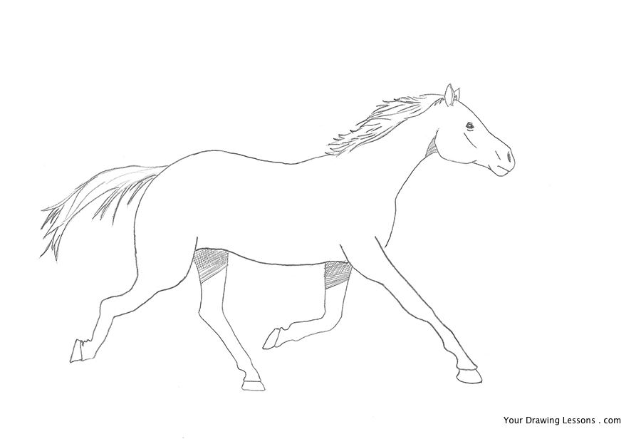 900x616 how to draw a galloping horse your drawing lessons - Horse Drawing