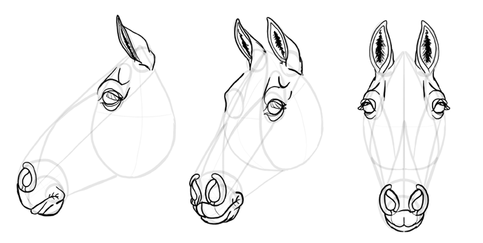 700x353 How To Draw Horses Step - Horse Drawing