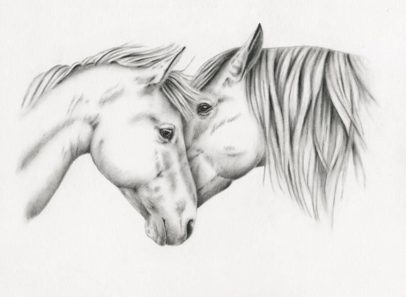 794x581 Charcoal Sketch Horse Drawing Giclee Print Charcoal Drawing Etsy - Horse Drawing