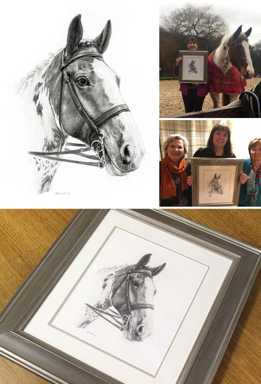 880x1295 Horse Pencil Portraits - Horse Drawing Art