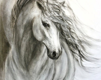 340x270 Horse Drawing Etsy - Horse Drawing Art