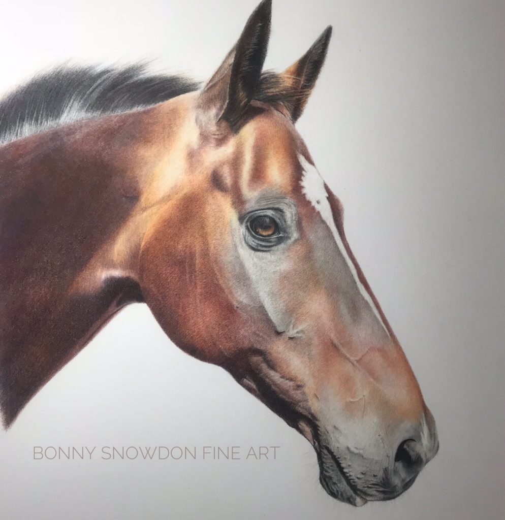 994x1024 Horses - Horse Drawing Art