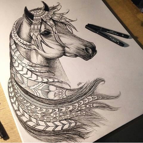480x481 Image In Art For Everybody Collection - Horse Drawing Art