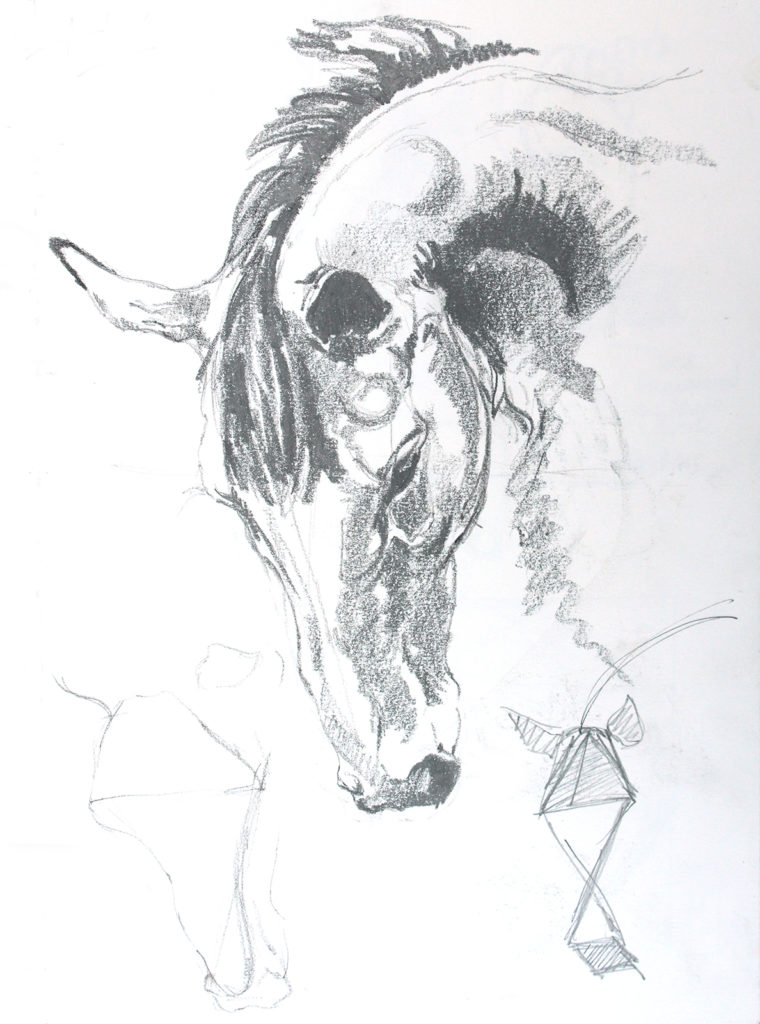 760x1024 spark your next drawing ideas with these different ways to draw - Horse Drawing Art