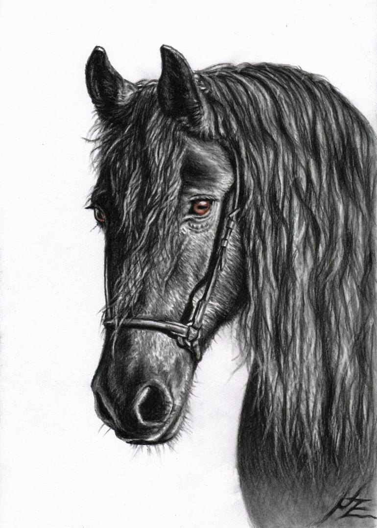 770x1078 Black Pearl - Horse Drawing Black And White