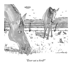 300x282 Horse Drawings Fine Art America - Horse Drawing Black And White