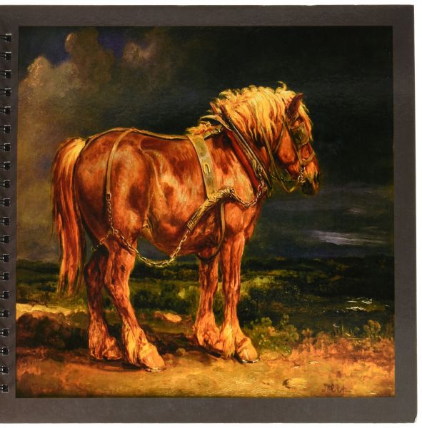 591x600 Florene Fairies N Fantasy - Horse Drawing Book