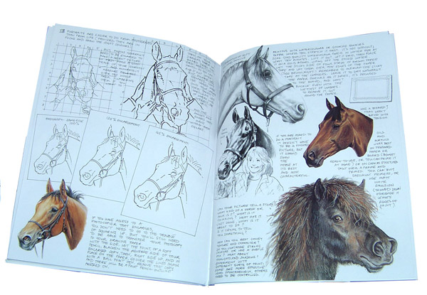600x415 allen book of painting and drawing horses, bell jennifer - Horse Drawing Book